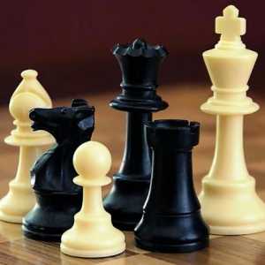 Strategija i taktika u šahu. debi