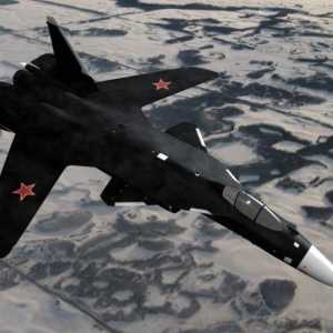 Su-47 `Berkut`: fotografija, obilježja. Zašto su zatvorili projekt?