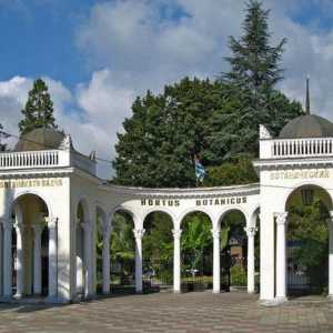 Botanički vrt Sukhumi: zeleno srce glavnog grada Abhazije