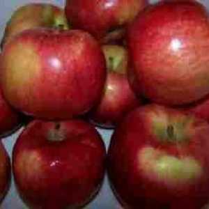 Sušenje jabuka u mikrovalnoj pećnici 5 minuta