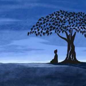 Sveto drvo Bodhija. Bodhi stablo: opis, povijest i zanimljive činjenice
