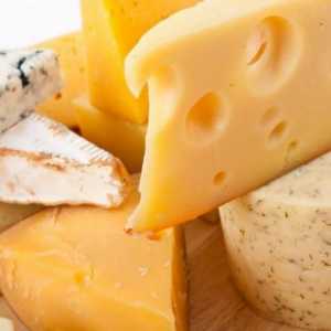 Sir proizvod - što je to? Što je napravljen od sira?