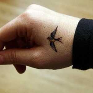 Tattoo `Bird` - ljepota na tijelu