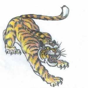 Tattoo `tiger` (osmijeh): vrijednost