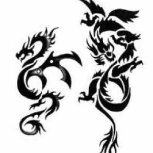 Tattoo u obliku zmaja. Vrste zmajeva (fotografija)