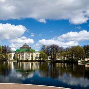 Tavrichesky vrt u St. Petersburgu: radno vrijeme, adresa, fotografije i recenzije turista