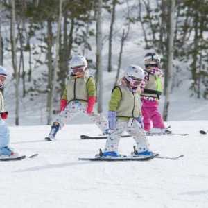 Sigurnost na lekcijama skijanja. Organizacija skijaških lekcija u školi
