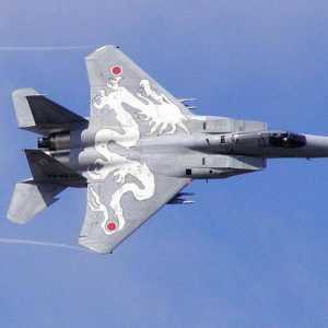 Tehnika, naoružanje i borbeni sastav zrakoplovstva Japana: povijest i modernost