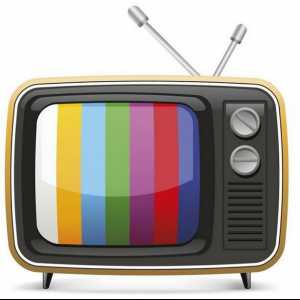 Televizija je ... Koje su vrste televizije?
