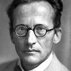Schrödingerova teorija: opis, značajke, eksperimenti i primjena