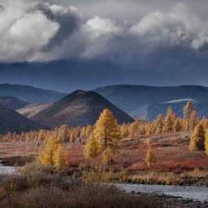 Teritorij i ukupna površina područja Tyumen: opis i zanimljive činjenice