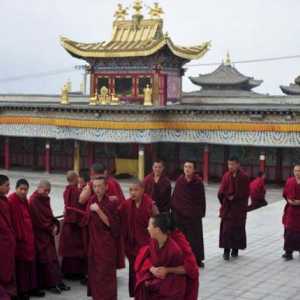 Tibetanska hormonska gimnastika: recenzije i rasprava