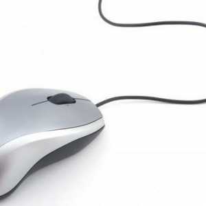 Tihi računalni miš: recenzije najboljih modela