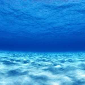 Tihi ocean: olakšanje dna. Značajke reljefa dna Tihog oceana