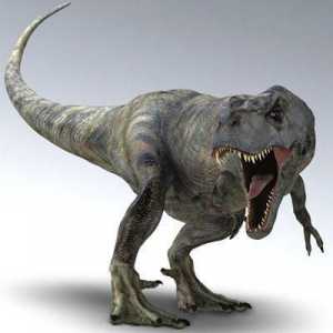 Tyrannosaurus protiv gigantosaurusa: najopasniji grabežljivci