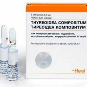 "Thyreoidea compositum": upute za uporabu, opis pripravka
