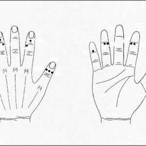 Točke na rukama odgovorne za organe. Akupunkturne točke na rukama (fotografija)