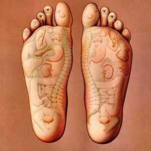 Točke na nozi koja su odgovorni za organe. Akupunktura na nogama