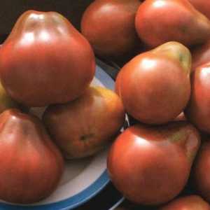 Japanski tartuf od rajčice: fotografija, opis. obilježja