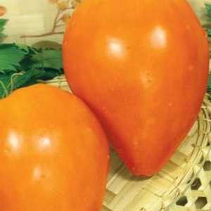 Rajčica "narančasto srce": karakteristike, opis sorte i recenzije