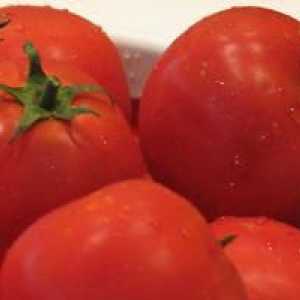 Tomato `sanka`: recenzije, karakteristike i savjeti