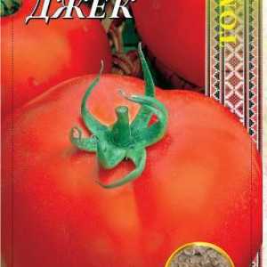 Tomato debeli Jack: Variety Opis