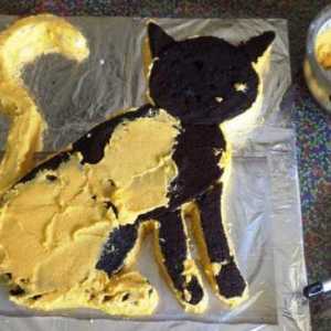 Cake `Cat`: lijepa i ukusna