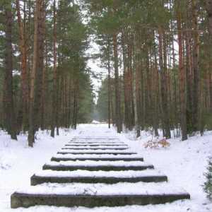 Treblinka (koncentracioni logor): povijest. Spomenik u Treblinkama