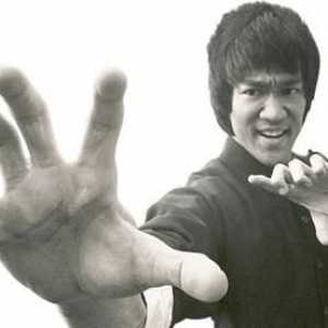 Bruce Lee trening: beskrajan put do savršenstva tijela i duha