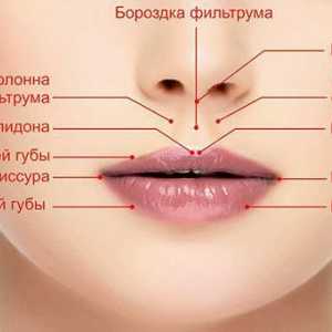 Pukotine u uglovima usana: uzroci i liječenje