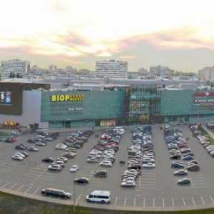 TRK `Arena` (Voronezh) kao društvena komponenta grada