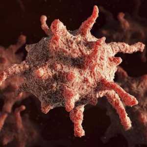 Trombociti: norma kod muškaraca u krvi