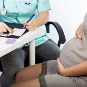 TTG u trudnoći: norma (1 trimestar), pokazatelji, odstupanja i transkripta