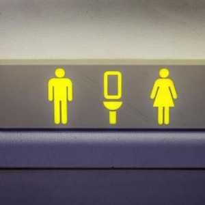 WC u zrakoplovima: značajke uređaja, sheme i pravila rada