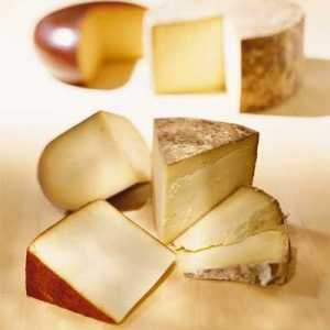 Tvrde vrste sira: imena, vrste i tradicije posluživanja