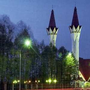 Katedrala Ufa Džamija `Lala-Tulip`