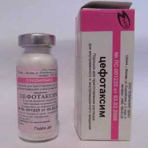 Injekcije "Cefotaxime": upute za uporabu, indikacije, cijena. Recenzije o drogama