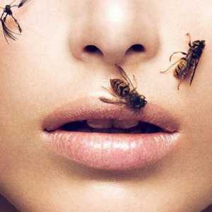 Pčelinji ubod: prva pomoć, dobrobit i štetu