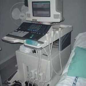 Ultrazvučni pregled: opis postupka i vrsta