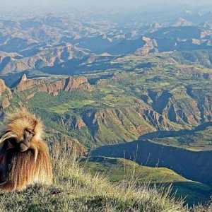 Jedinstvene atrakcije Etiopije: fotografija i opis