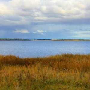 Jedinstvena jezera Kurgan regije. Nosi: opis, značajke, fotografija