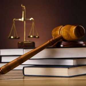 Zakon o kaznenom postupku, čl. 7: značajke i komentari