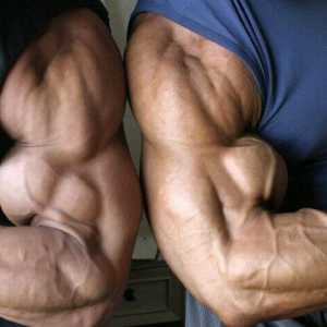 Vježbe na bicepsu: opis i tehnika izvršenja