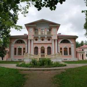 Dvorac Bryanchaninova: arhitektura i fotografija