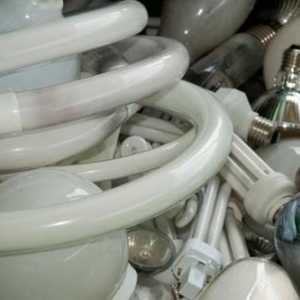 Odlaganje žarulja koje sadrže živu: načela prikupljanja i skladištenja, odgovornost