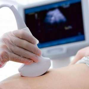 Ultrazvuk bubrega - tumačenje norme: položaj, dimenzije