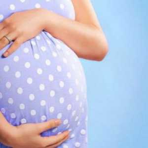 Ultrazvuk u trudnoći: percentil je važan?