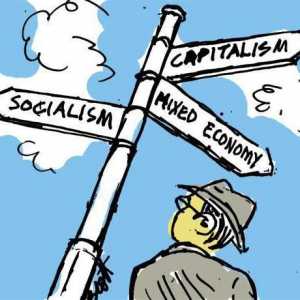 Koje su značajke funkcioniranja različitih ekonomskih sustava: socijalni aspekt
