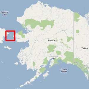 U kojoj su godini prodavali Aljasku u Ameriku? Alaska: povijest