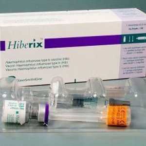 Hiberica cjepivo: što trebate znati prije cijepljenja